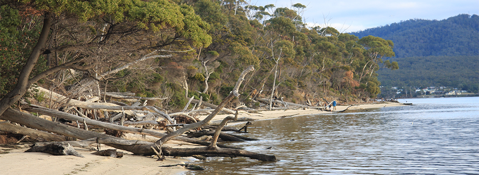 ST Helens beach in front of API holiday property.jpg