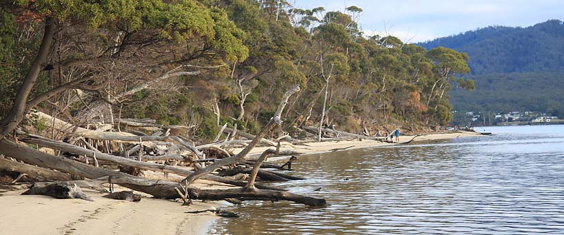 145 St Helens Point Rd API Leisure & Lifestyle - Beach.jpg