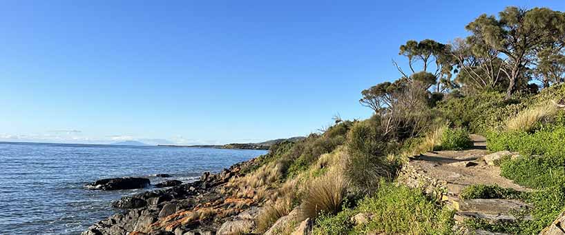 Swansea Walking Track 3