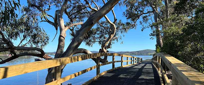 API St Helens Walking Track 8
